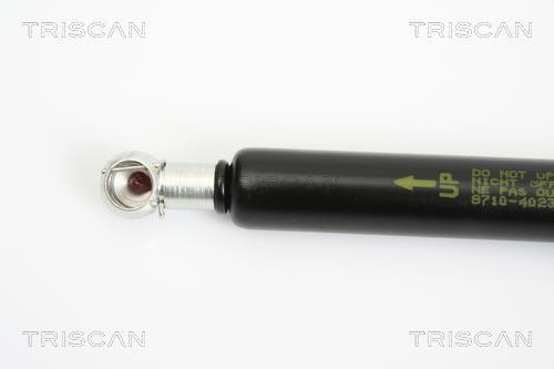 Cilindro Triscan A/S 8710 40230