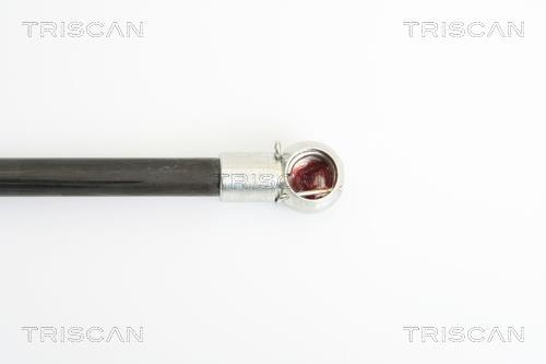 Cilindro Triscan A/S 8710 40230