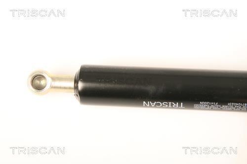 Vérin (Vérin de hayon) Triscan A/S 8710 40231