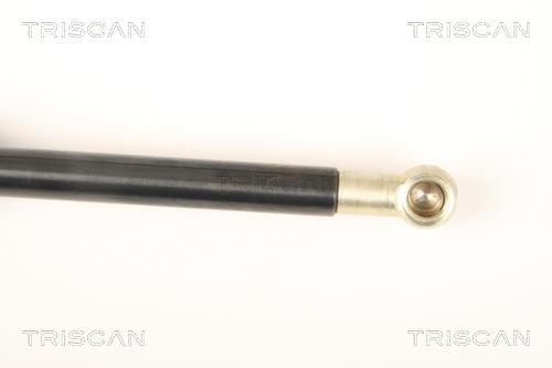 Vérin (Vérin de hayon) Triscan A/S 8710 40231