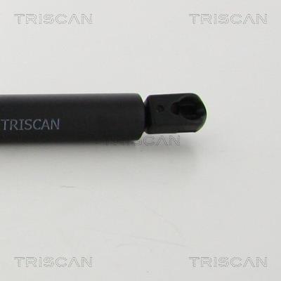 Vérin (Vérin de hayon) Triscan A/S ref. 8710 40235