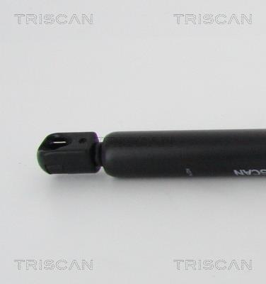 Vérin (Vérin de hayon) Triscan A/S ref. 8710 40236