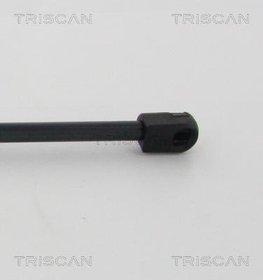 Vérin (Vérin de hayon) Triscan A/S ref. 8710 40236