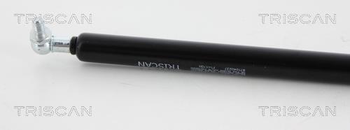 Vérin (Vérin de hayon) Triscan A/S ref. 8710 40237