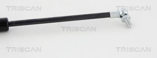 Vérin (Vérin de hayon) Triscan A/S ref. 8710 40237