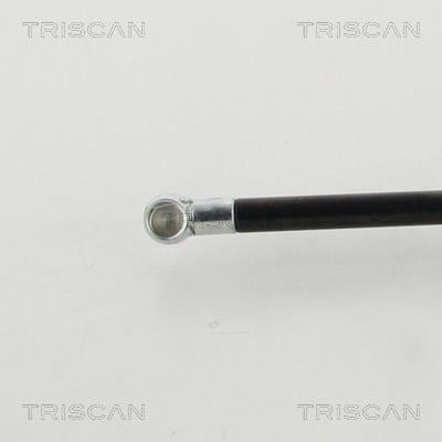 Vérin (Vérin de hayon) Triscan A/S 8710 40239