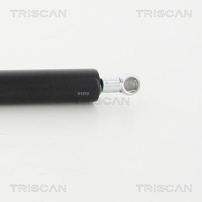 Vérin (Vérin de hayon) Triscan A/S 8710 40239