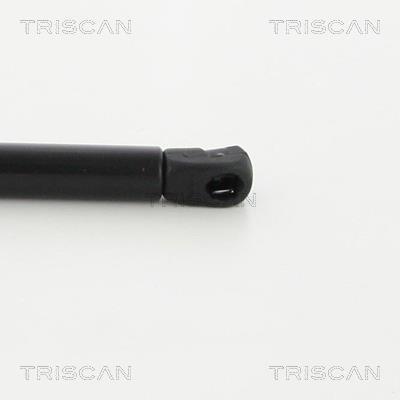 Vérin (Vérin de hayon) Triscan A/S 8710 40241