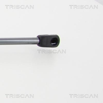 Vérin (Vérin de hayon) Triscan A/S 8710 40242