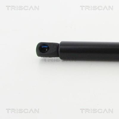 Vérin (Vérin de hayon) Triscan A/S 8710 40242