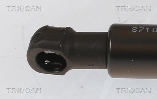 Vérin (Vérin de hayon) Triscan A/S ref. 8710 40243