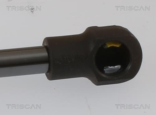 Vérin (Vérin de hayon) Triscan A/S ref. 8710 40243