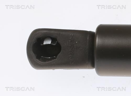 Vérin (Vérin de hayon) Triscan A/S 8710 40245