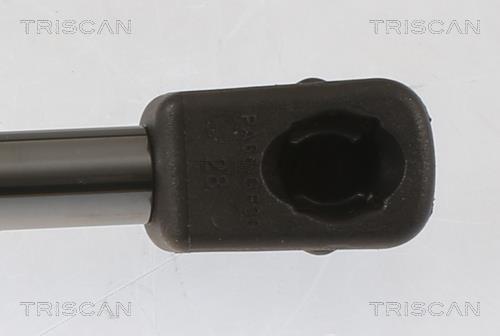 Vérin (Vérin de hayon) Triscan A/S 8710 40245
