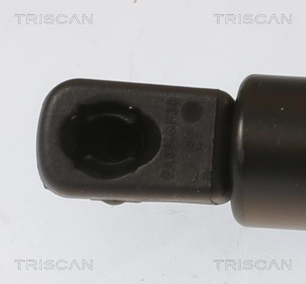 Vérin (Vérin de hayon) Triscan A/S 8710 40246