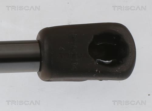 Vérin (Vérin de hayon) Triscan A/S 8710 40246