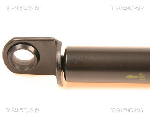 Cilindro Triscan A/S 8710 41209