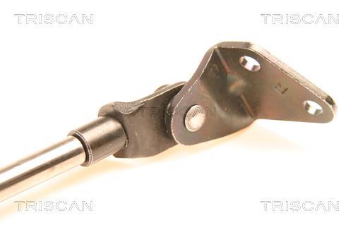 Cilindro Triscan A/S 8710 41209
