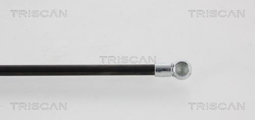 Vérin (Vérin de hayon) Triscan A/S 8710 41215
