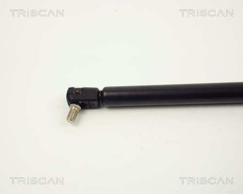 Vérin (Vérin de hayon) Triscan A/S ref. 8710 4200