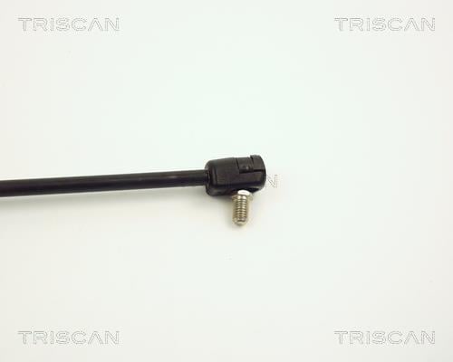 Vérin (Vérin de hayon) Triscan A/S ref. 8710 4200