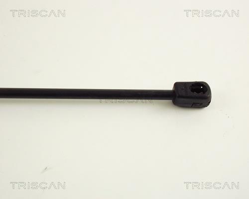 Vérin (Vérin de hayon) Triscan A/S ref. 8710 42202