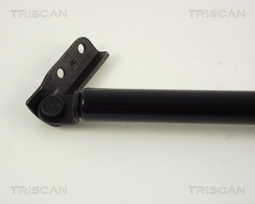 Cilindro Triscan A/S 8710 42217