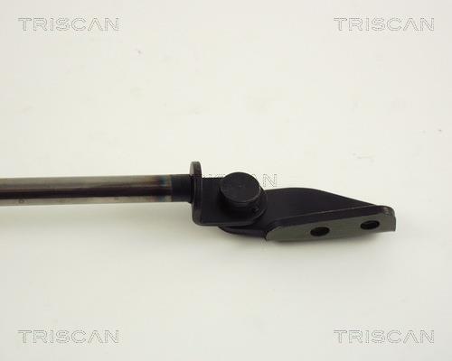 Cilindro Triscan A/S 8710 42217