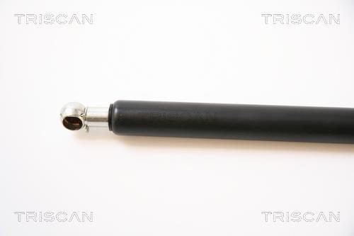 Muelle neumático Triscan A/S 8710 42221
