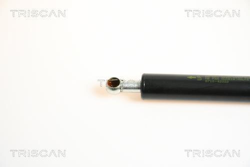 Vérin (Vérin de hayon) Triscan A/S 8710 42222