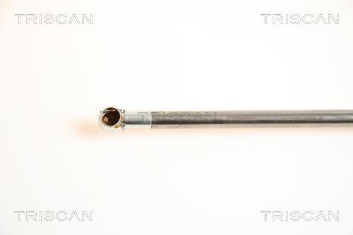 Vérin (Vérin de hayon) Triscan A/S 8710 42222