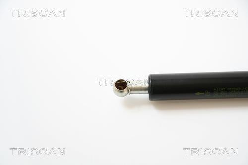Vérin (Vérin de hayon) Triscan A/S 8710 42223