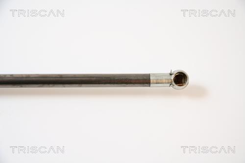 Vérin (Vérin de hayon) Triscan A/S 8710 42223