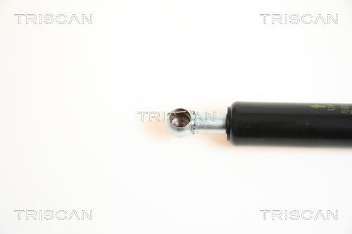 Cilindro Triscan A/S ref. 8710 42226