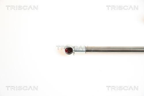 Cilindro Triscan A/S ref. 8710 42226