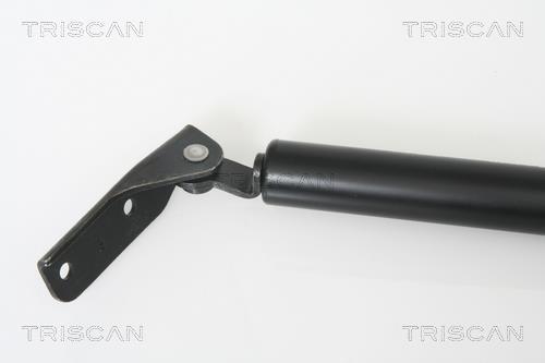 Muelle neumático Triscan A/S 8710 42229