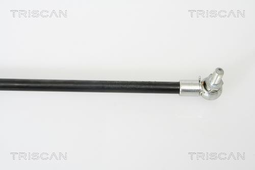 Muelle neumático Triscan A/S 8710 42229