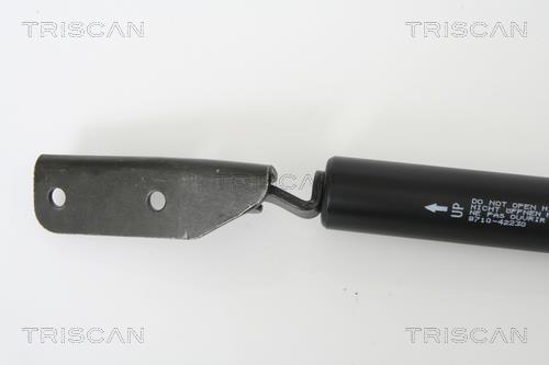 Vérin (Vérin de hayon) Triscan A/S 8710 42230