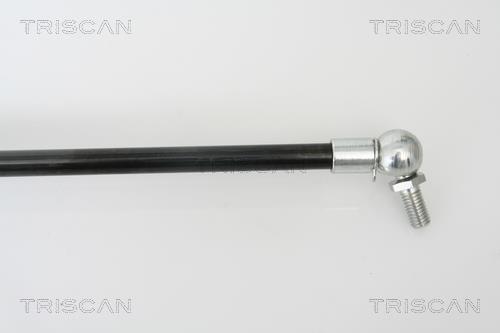 Vérin (Vérin de hayon) Triscan A/S 8710 42230