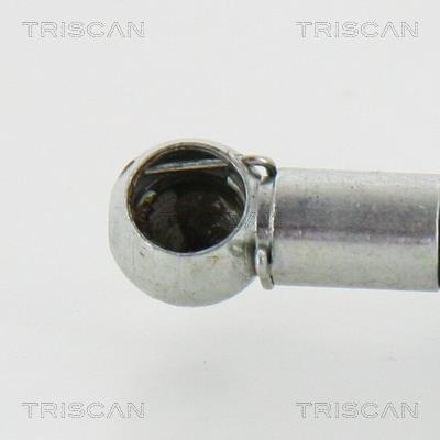 Vérin (Vérin de hayon) Triscan A/S ref. 8710 42233
