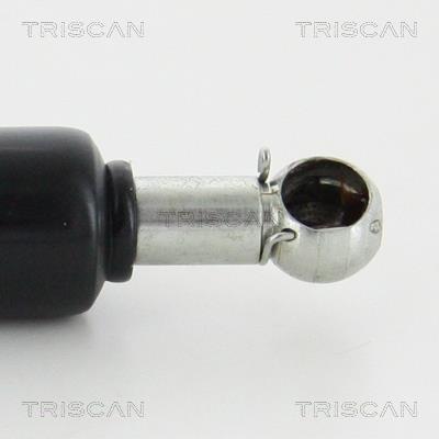 Vérin (Vérin de hayon) Triscan A/S ref. 8710 42233