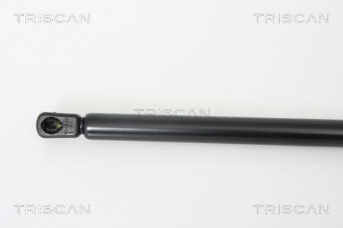 Vérin (Vérin de hayon) Triscan A/S 8710 42234