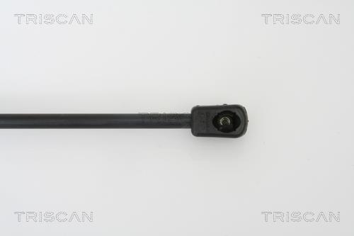 Vérin (Vérin de hayon) Triscan A/S 8710 42234