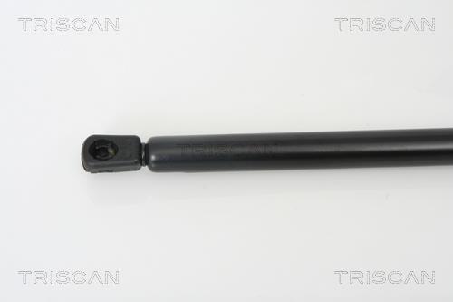 Vérin (Vérin de hayon) Triscan A/S 8710 42235