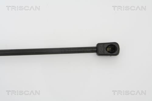 Vérin (Vérin de hayon) Triscan A/S 8710 42235