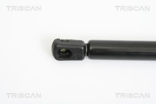 Vérin (Vérin de hayon) Triscan A/S 8710 42236