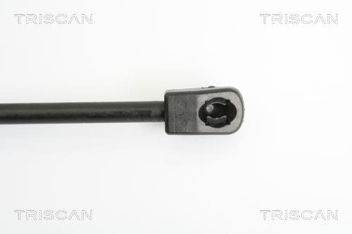 Vérin (Vérin de hayon) Triscan A/S 8710 42236