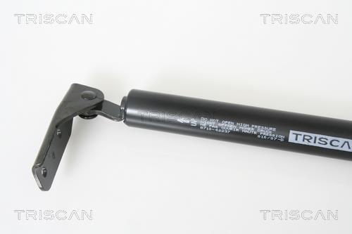 Cilindro Triscan A/S 8710 42237