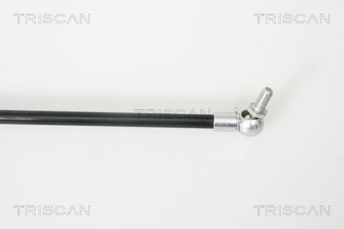 Cilindro Triscan A/S 8710 42237