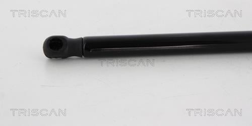 Vérin (Vérin de hayon) Triscan A/S 8710 42240